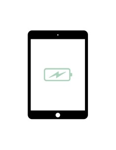 Cambiar Batería iPad Mini 1 y 2