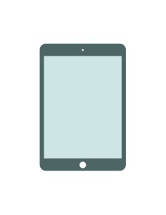 Cambiar Pantalla iPad Air 2