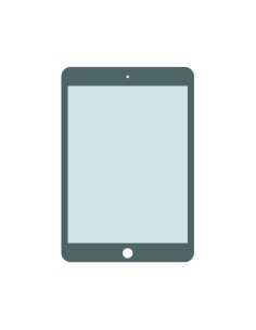 Pantalla + LCD iPad 2