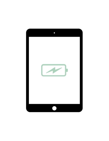 Cambiar Batería iPad Air 1