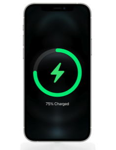 Reparar Dock iPhone 12