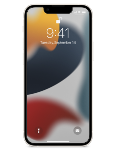 Sustitución Pantalla iPhone 13 PRO