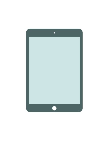 Cambiar Pantalla iPad Pro 9.7"